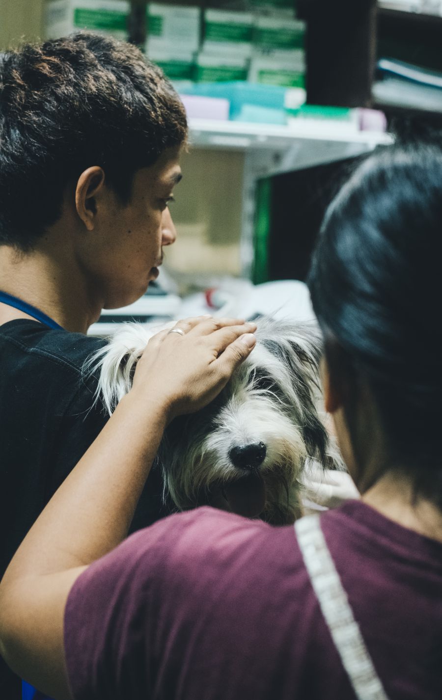 Welcome to Our Veterinary Clinic